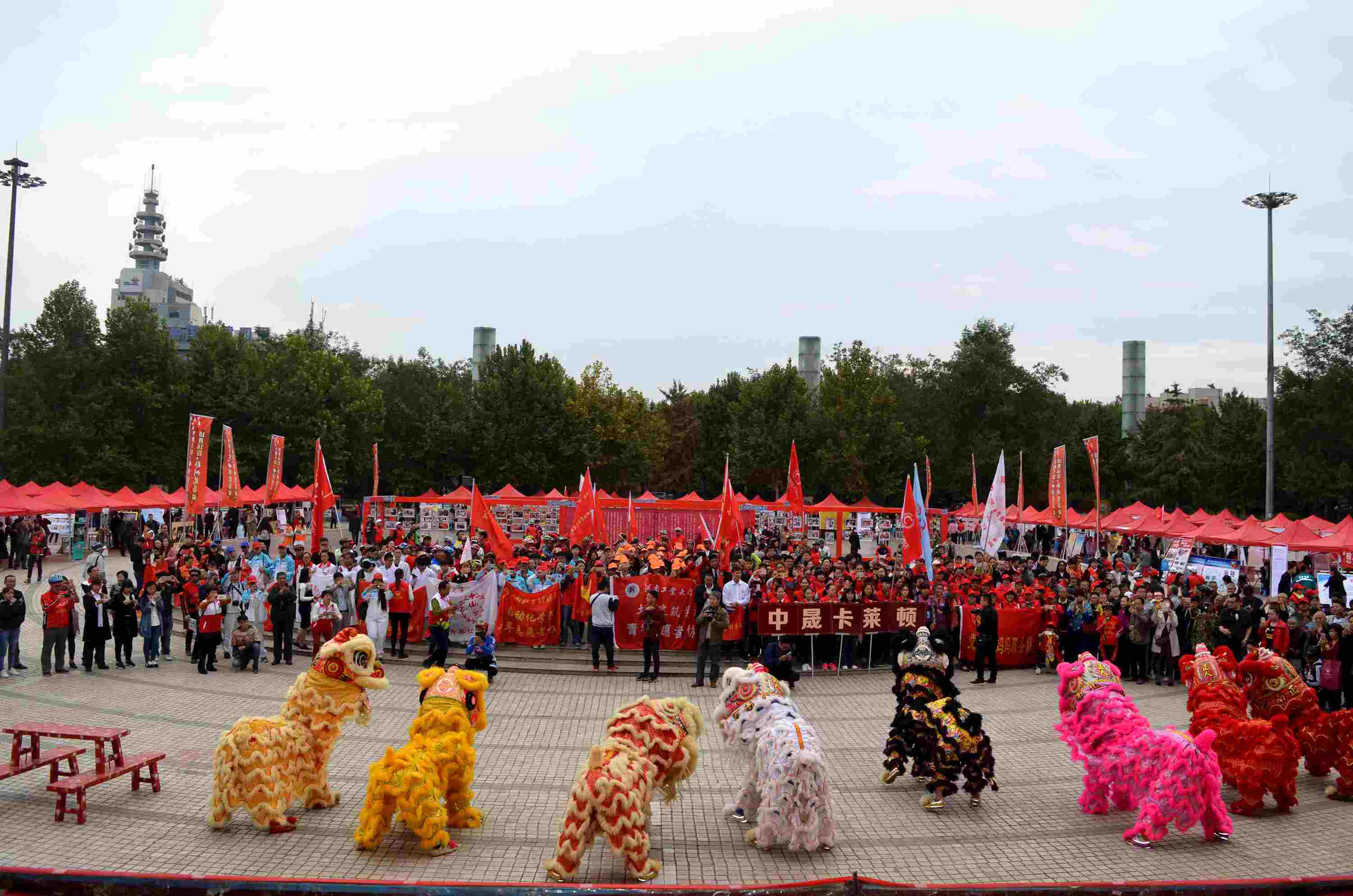 01.jpg